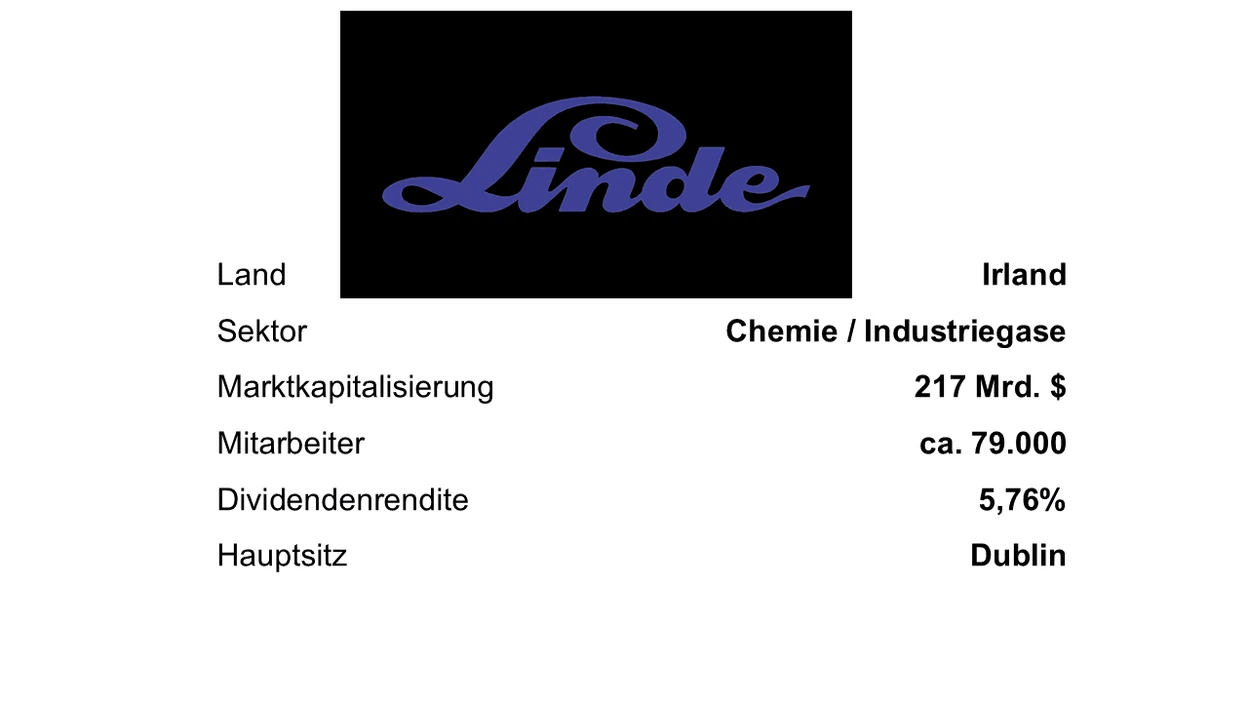 Linde Steckbrief