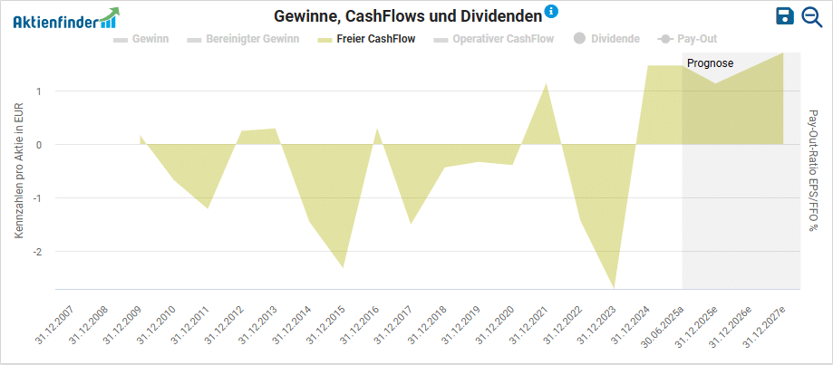 Steico Freier Cashflow
